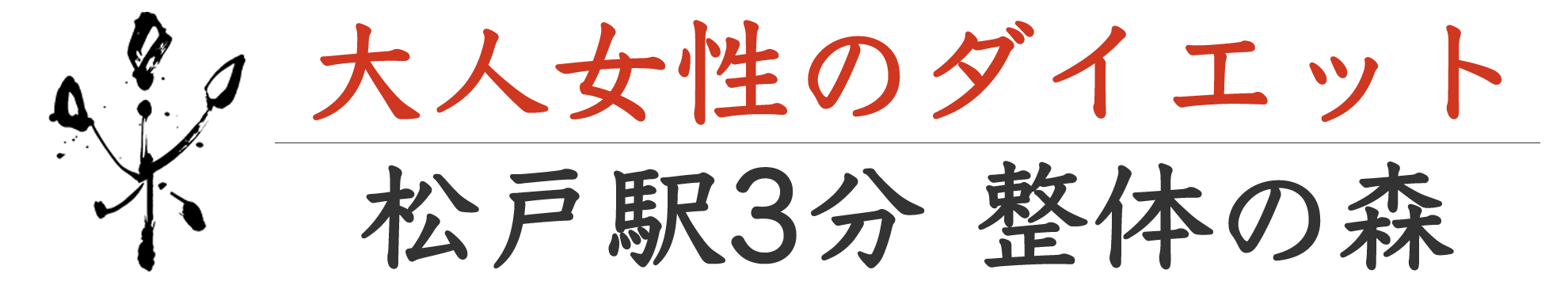 松戸の耳つぼ骨盤矯正ダイエット｜整体の森